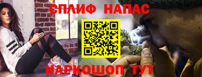 spice Заволжье