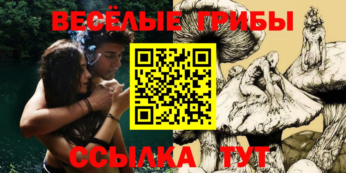 Казань  Псилоцибиновые грибы Psilocybe  Псилоцибиновые грибы Cubensis  Вход с VPN 